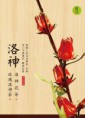 洛神系列